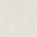 MOLD - Image 3