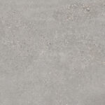 MOLD - Image 4
