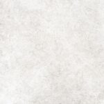 COQUILLE - Image 3