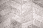 TRATTI TORTORA TENACE - Image 3